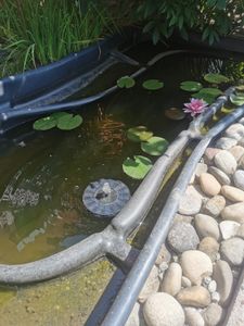 Wasserspiel Springbrunnen Solar Pumpe Teichpumpe Brunnen Fontäne Teich Garten, Deutsches Lager，2-3 Werktage Lieferung Kunden-Foto 2