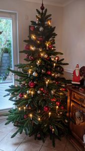 Hoogwaardige kunstkerstboom, Spaanse dennensoort, 220 cm Klantenfoto 9