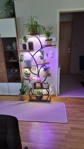Blumenständer mit Wachstumslicht, 8 Ebenen Blumentreppen, 4 Räder，122cm/126.5cm Hoch Pflanzenständer Metall Blumenregal für Indoor Balkon,Weiß Kunden-Foto 10