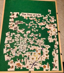Eurographics Puzzle Flaggen der Welt, Nationalflaggen, 1000 Teile, 68 x 48 cm, 6000-0128 Foto del cliente 2