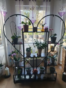WISFOR Porte-fleurs, 2 étagères à plantes avec 6 niveaux/4 crochets, 136.5cm de haut Porte-plantes Étagère à fleurs pour balcon intérieur Escalier à fleurs salon Photo du client 3