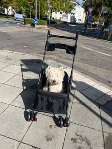 Hundebuggy Hundewagen mit Meshfenster, Klappbar mit 2 Sicherheitsleinen, für kleine Hunde und Katzen,Rosa Kunden-Foto 1