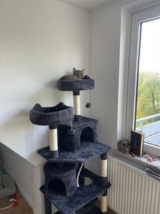 Yaheetech Kratzbaum 158 cm stabiler Katzenbaum, mit 5 Sisalstämmen & 2 Plattformen, mehrstufig, Hellgrau Kunden-Foto 4