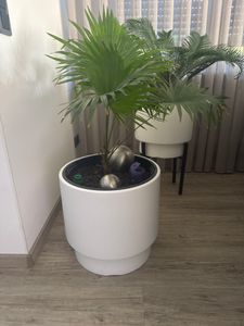 HEOS DBHEN300 Runder Blumentopf mit Einsatz | Weiß Kunden-Foto 1