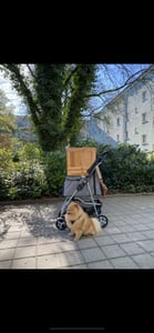 TRIXIE Buggy mit 4 Rädern für Hunde bis 15 kg - grau - 47 × 100 × 80 cm Kunden-Foto 4