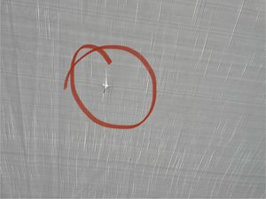 FCH 3 x 3 m Garten Pavillon mit 4 Seitenteilen tragbares wasserdichtes Zelt mit Spiralschläuchen, weiß Kunden-Foto 6