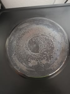 TZS First Austria - Mini Backofen mit Kochplatten 60L 3400W - Temperaturregelung bis 230°C - 4 Einschubhöhen Kunden-Foto 6