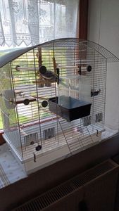 Vogelkäfig Ula, Vogelheim mit Zubehör, Chrom/Weiß Kunden-Foto 1