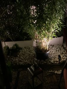 SWANEW 6pcs. spot de jardin LED avec piquet de terre, spot extérieur éclairage de jardin avec prise étanche IP65 blanc chaud Photo du client 5