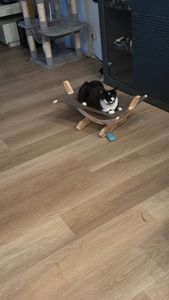 Kerbl Katzensofa Hängematte SIESTA 2.0, braun mit Holzgestell, 61x37x29cm; 81559 Kunden-Foto 1