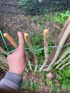 SEVICO 5m Staketenzaun 60cm x 5m mit Lattenabstand 7-8cm mit Pflock Zaunlatte Gartenzaun aus Haselnuss Natur STAHLKRAMPEN GRATIS V112 7-8 Kunden-Foto 8