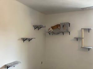 SucceBuy Wandregal-Set für Katzen, Katzenwand-Sitzstangen mit Sprungbrettern, Hängematte, Sofa, Kletterbaum und Griff, langlebige Katzenmöbel halten bis zu 40 Pfund, ideal zum Spielen Kunden-Foto 2