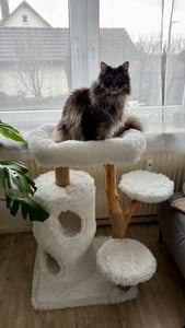 COSTWAY Kratzbaum, 178 cm Katzenbaum mit Sisal-Kratzsäulen, 3 warmen Liegeflächen & Plüschbälle, Katzenturm mit gebogenem Metallgestell, Kletterbaum, Katzenmöbel für große und kleine Katzen (Grau) Kunden-Foto 3
