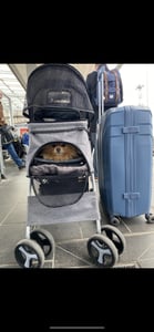 TRIXIE Buggy mit 4 Rädern für Hunde bis 15 kg - grau - 47 × 100 × 80 cm Kunden-Foto 1
