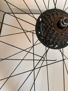 Licorne Bike Stella Premium City Bike 20,24,26 und 28 Zoll Fahrrad für Mädchen Herren und Damen 21 Gang (6 Gang bei 20 Zoll) Holland Citybike Kunden-Foto 6