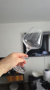 Burgunder-Glas, 6er-Set Quatrophil Stölzle Kunden-Foto 1