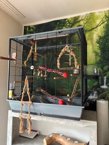 Grote vogelkooi, geschikt voor parkieten, kanaries en grotere papegaaien, met zitstok en accessoires Klantenfoto 1