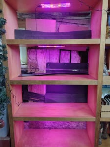 LED lampa na rostliny s plným spektrem, LED lampa na rostliny 450 LED diod, rostoucí lampa na rostlinné police pro vnitřní rostliny ve skleníku (3 světelné panely, červená, modrá, teplá bílá) Fotografie od zákazníka č. 3