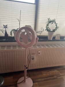 Cecotec Tischventilator EnergySilence 800 RetroDesk béžová Fotografia od zákazníka č. 1
