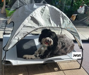 Wiltec Hundebett mit Dach Braun 122 x 91 x 16 cm Größe XL bis 50 kg Outdoor Katzenliege Haustier Schlafplatz Sonnendach Kunden-Foto 3