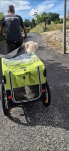 Doggyhut S-Line XXL Hundeanhänger & Hundebuggy mit Federung 2 in 1 Hunde Fahrradanhänger Jogger gefedert bis 45 kg Kunden-Foto 2