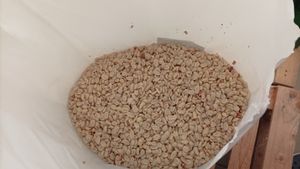 25 kg de grains d'arachide Lyra Pet® SPLITS Photo du client 4