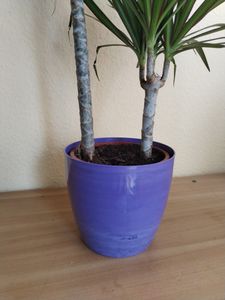 KADAX Vaso Rotondo In Plastica Con Sottovaso, Set Da 2 (18cm + 20cm), Bianco Lucido, Per Piante E Fiori Da Interno - 3