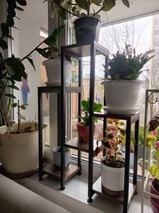 Vilde Blumenständer Blumentreppe Pflanzenständer Blumensäule Pflanzensäule Blumenregal für Blumentöpfe aus Metall 6 Etagen 80 cm Kunden-Foto 1