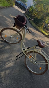 Dallas Bike Fahrrad Mit Weidenkorb - Damenfahrrad 28 Zoll - 1-Gang Rücktritt - Rahmen M 18" - Creme Kunden-Foto 1