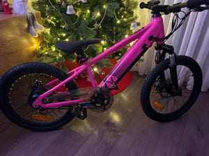 JOYSTAR elektrische fiets voor kinderen en jongeren vanaf 7 jaar, met een borstelloze 250W motor, een elektrische mountainbike met een snelheid van 20 km/u en een uitneembare accu Klantenfoto 1