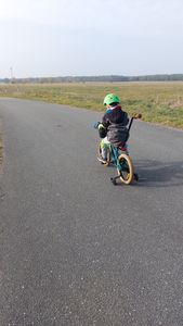 Kinderfahrrad Jungen Fahrrad Stützräder Schubstange 14 Zoll Verdant Rowan grün Kunden-Foto 1