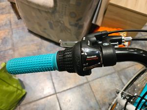 Bergsteiger Atlantis 20 Zoll Kinderfahrrad, geeignet für 6, 7, 8, 9 Jahre, StVZO, Shimano 6 Gang-Schaltung, Mädchen-Fahrrad mit Dynamo-Licht Kunden-Foto 13