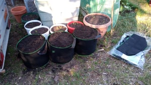 TTL GARDEN Pflanzsack 22L – 10er Set Filz & Vliesstoff für Balkon & Garten Kunden-Foto 1