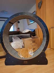 SucceBuy Laufrad für Katzen, großes Laufband für Katzen im Innenbereich, 29,5 Zoll, mit abnehmbarem Teppich und Katzenangel zum Laufen/Gehen/Trainieren, passend für die meisten Katzen Kunden-Foto 2