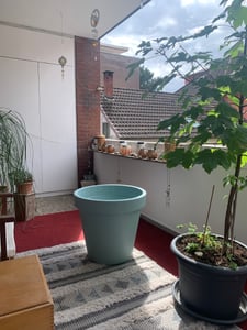 Pflanzkübel Betonoptik, rund Ø 48 cm grau, Pflanztopf Blumentopf Kübel XXL groß Kunden-Foto 1
