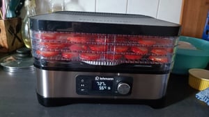 Lehmann Dörrautomat Edelstahl 450W, Dörrgerät für Lebensmittel mit 5 Dörrebenen, Trockner für Obst, Pilze, Fleisch, Kräuter, BPA frei Kunden-Foto 1