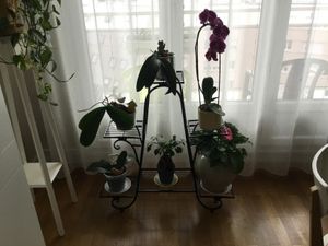 WISFOR Blumenständer Metall mit 4 Ebenen, Pflanzenregal Pflantentreppe Blumenregal Garten Balkon Wohnzimmer Kunden-Foto 3