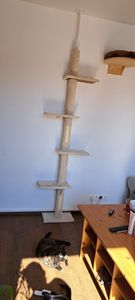 Fudajo škrabadlo stropní vysoké 230-276 cm v béžové barvě, škrabadlo pro kočky se 4 úrovněmi, výškově nastavitelný stropní napínací strom pro kočky, nábytek pro kočky se sisalem Fotografie od zákazníka č. 3