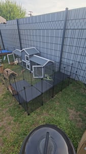 MyAnimal Hasenstall MH-03 | Hasenkäfig XXL mit Freilaufgehege - Kleintierkäfig - Kaninchenstall - 4 Türen - Kleintierstall - Wetterfest - 226x53x85 cm Kunden-Foto 2