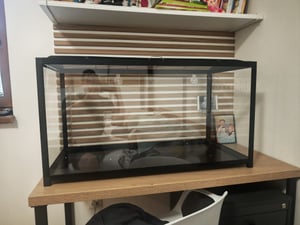 SucceBuy gabbia per criceti, habitat per criceti con visione trasparente a 360°, 22,8 x 15 x 21,3 pollici, gabbia ventilata per piccoli animali con bottiglia d'acqua per ratti, porcellini d'India Foto del cliente 1