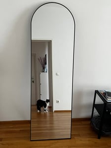 SONGMICS Ganzkörperspiegel, 160 x 50 cm, gewölbter Standspiegel Kunden-Foto 2