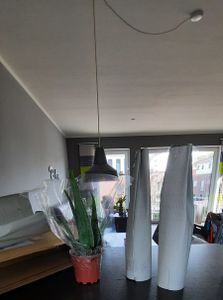 2er Set - Aloe vera - ca. 2 Jahre alt - 10,5cm Topf Kunden-Foto 1