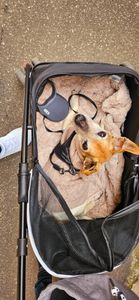 Poussette pour chiens avec fenêtre en maille, pliable avec 2 laisses de sécurité, pour petits chiens et chats, Oxford noir Photo du client 1