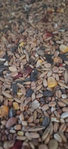 25 kg Streufutter für Wildvögel 40 Zutaten Kunden-Foto 1