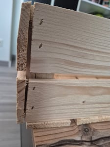 Neue Obstkisten mit Mittelbrett Holzkisten Weinkisten Apfelkisten Kommode Regal Geflammte 50x40x30cm Kunden-Foto 3