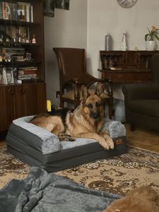WISFOR Orthopädisch Hundebett Hundesofa Hundecouch Hundekissen große Hunde Schlafplatz, wasserfest waschbar Bezug abnehmbar L: 100x75x19cm Kunden-Foto 5