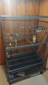 Voliera per uccelli gabbia per uccelli in metallo casa per uccelli gabbia per animali gabbia per uccelli voliera per pappagalli X Foto del cliente 3