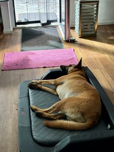 Coussin pour chien Lit pour chien Panier pour chien Canapé orthopédique pour animal de compagnie Chiens Lavable - Medico Lux 120 x 80 x 19 cm [Taille : XXL] - Marron avec Beige Photo du client 1