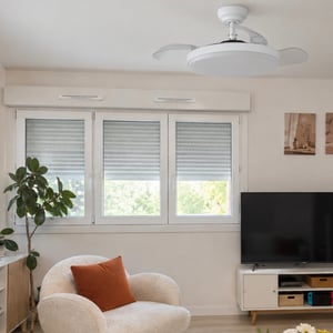 Ventilateur de plafond Parrot Uncle avec éclairage et télécommande, pales rétractables de 106 cm, noir, LED à intensité variable, 3 couleurs de lumière, 6 vitesses Photo du client 2