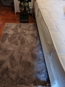 benuta Teppich Wohnzimmer Furry Beige 230x330 cm Fellteppich Wohnzimmerteppich Rechteckig Rutschfest Waschbar Hochflor Flauschig Plüsch Shaggy Weich Kunden-Foto 1